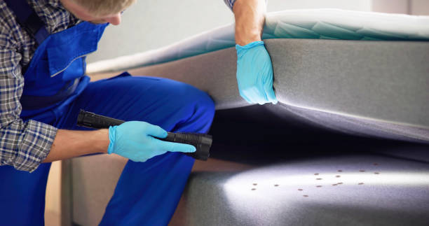 Best Affordable Pest Control Services  in Buhl, MN