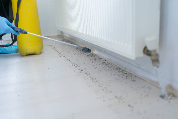 Best Pest Inspection Near Me  in Buhl, MN